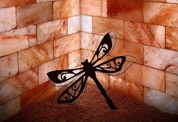 Salt Wall 1